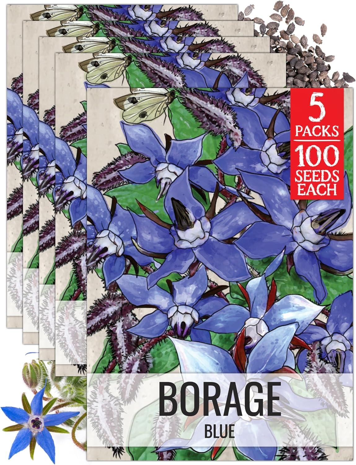Seed Needs Herb Seeds to Plant Blue Borage - Heirloom Non-GMO Herbs 5 Packs