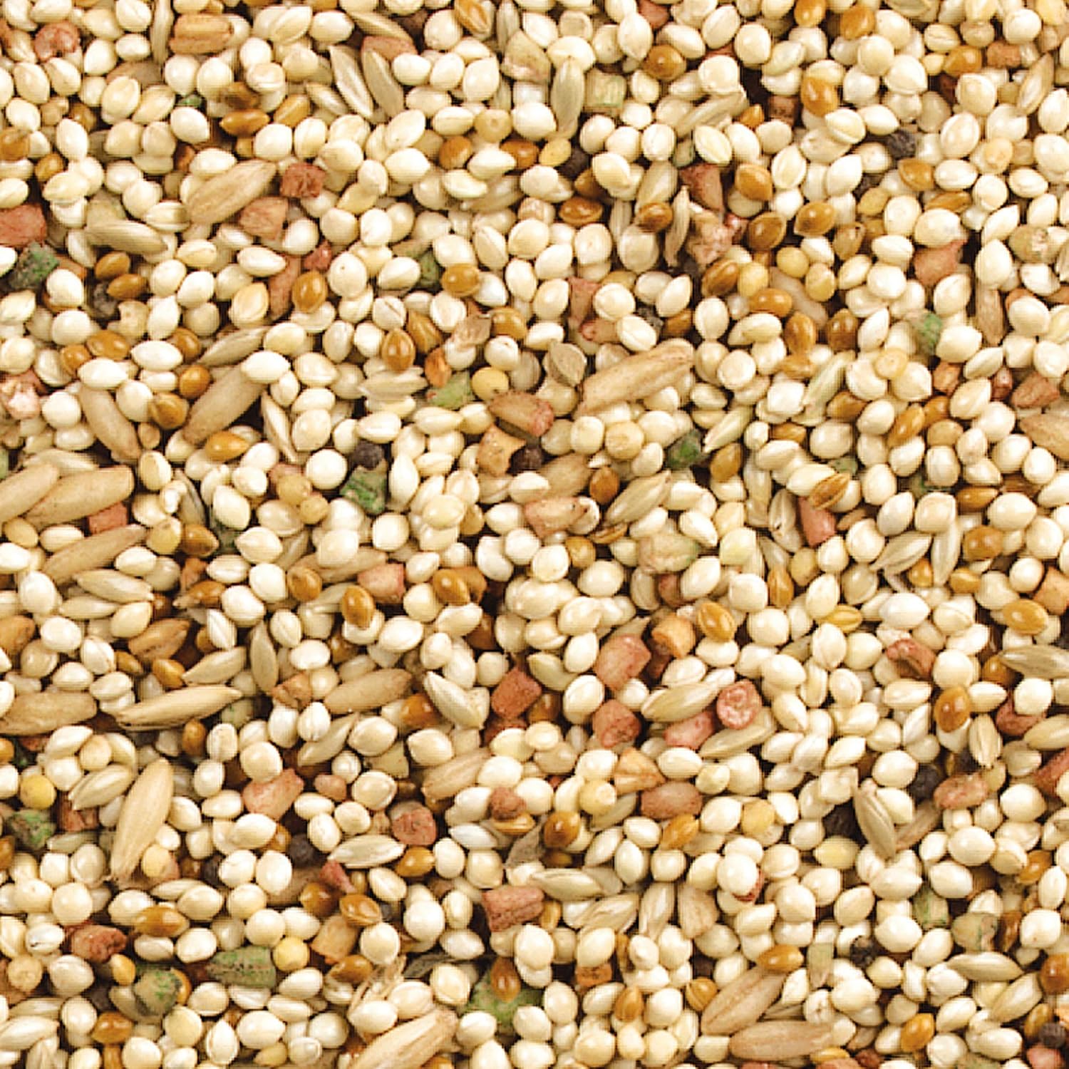Wild Harvest Daily Blend Bird Food For Parakeet, Canary & Finch,10 lbs