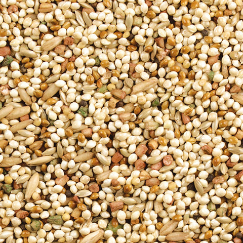 Wild Harvest Daily Blend Bird Food For Parakeet, Canary & Finch,10 lbs