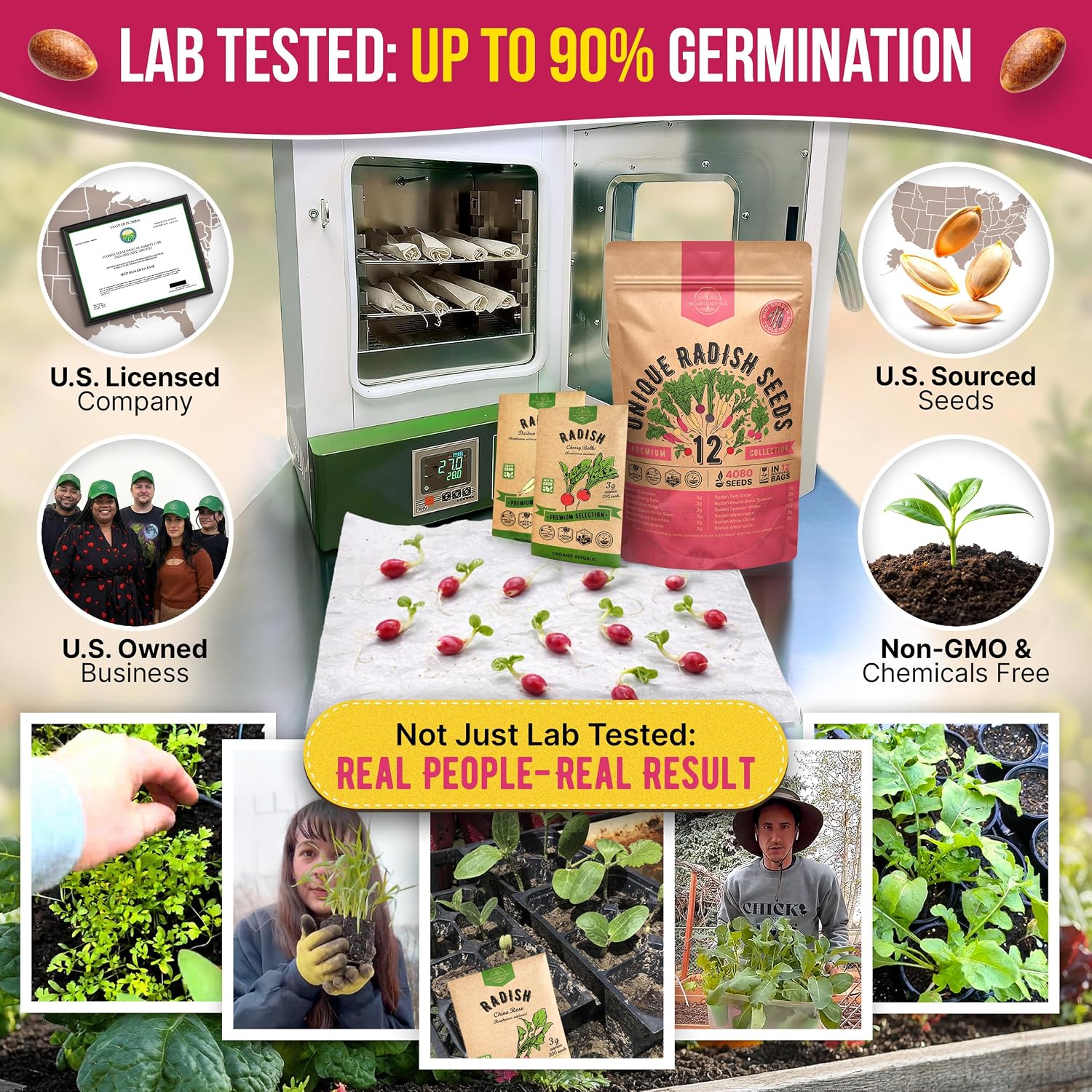 Organo Republic 12 Radish Seeds Variety Pack for Indoor & Outdoors 2400+ Heirloom Non-GMO Radish Garden Seeds: Daikon, Cherry Belle, French, Breakfast, Champion, Purple, Watermelon Radishes Seeds