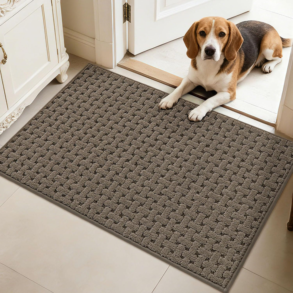 Door Mat Indoor Entrance 24"x36", Non-Slip Entryway Rugs, Brown