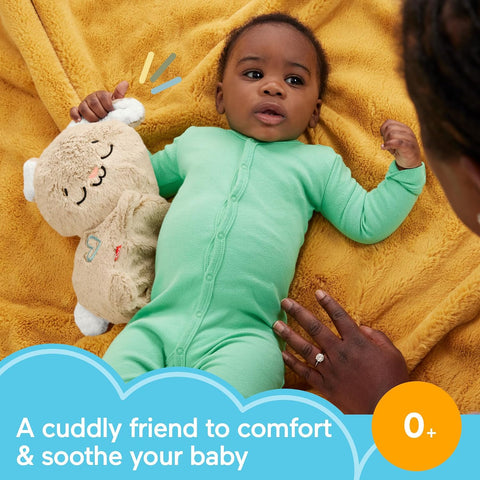 Fisher-Price Soothe & Settle Bunny Baby Toy, Ages 0+ Months