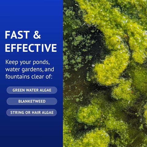 API POND ALGAEFIX (1 gallon) Pond Algae Control - Copper Free - Clean, Clear Water - Up to 38400 Gallons - Safe for Fish, Plants - Water Gardens, Fountains - Natural Active Ingredient - EPA-Registered
