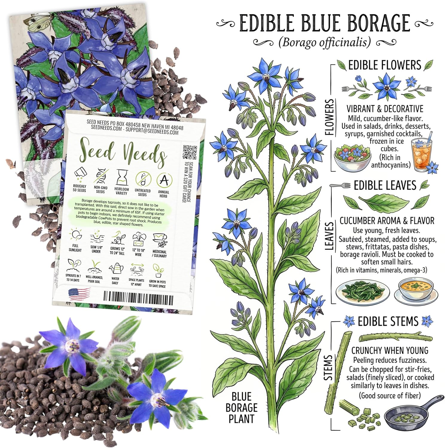 Seed Needs Edible Flower Seeds Variety Pack of 7 Wildflowers for Garnishing