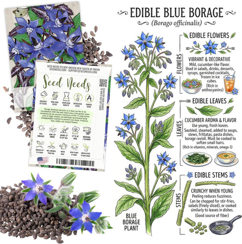 Seed Needs Edible Flower Seeds Variety Pack of 7 Wildflowers for Garnishing