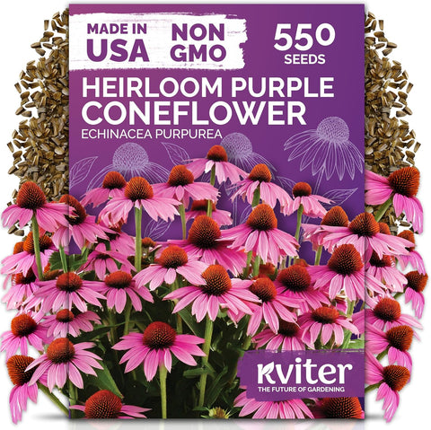 550 Purple Coneflower Heirloom Flower Seeds, Echinacea Purpurea