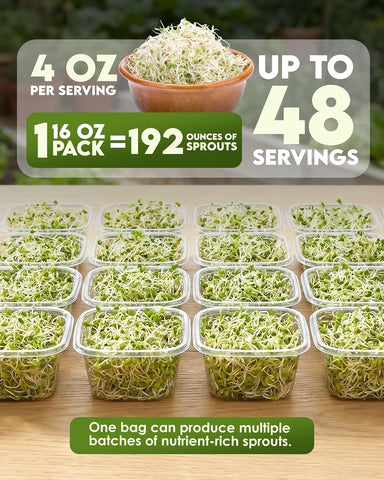 Nature Jim's Sprouts - Organic Alfalfa Sprouting Seeds – Non-GMO - 16 oz