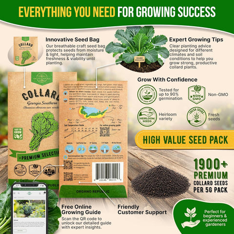 Organo Republic Collard Georgia Southern Seeds Pack 5G - Over 1900 Non-GMO Heirloom Collard Seeds for Planting Vegetable in Individual Seed Packet Vegetables Seeds for Planting Indoor & Outdoor