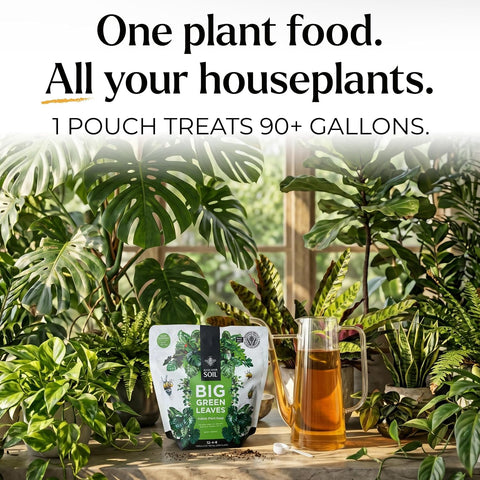 Big Green Leaves Indoor Plant Food – 4X Concentrated Fertilizer, 1 lb