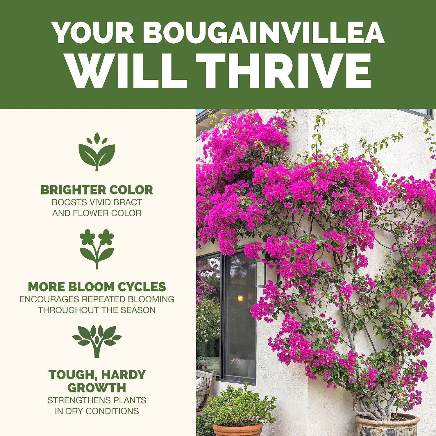 Bougainvillea Fertilizer - Liquid Plant Food for Vibrant Blooms, 8 oz