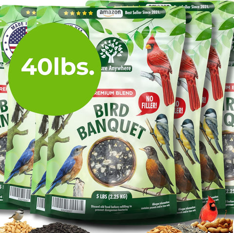 Wild Bird Seed for Outside Feeders, No Filler Sunflower Bird Food, 40 lb
