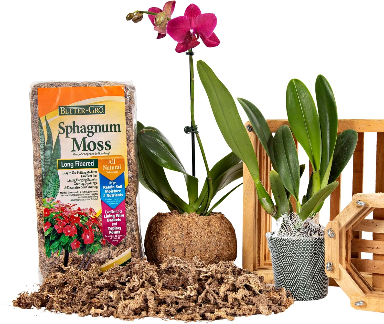 Better-Gro Long-Fiber Sphagnum Moss for Plants, Reptiles & Terrariums- 240g