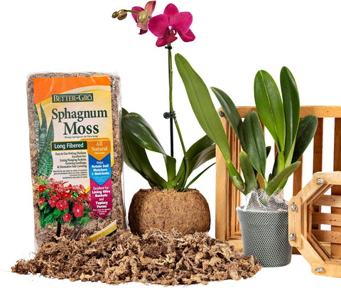 Better-Gro Long-Fiber Sphagnum Moss for Plants, Reptiles & Terrariums- 240g