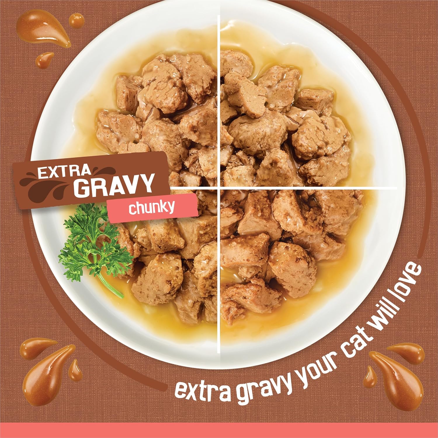 Purina Friskies Extra Gravy Wet Cat Food Chunky 24ct Variety Pack (With Chicken, Turkey, Salmon, Beef) - (Pack of 24) 5.5 oz. Cans