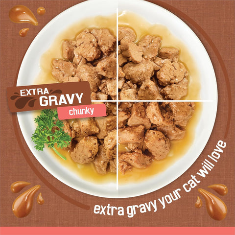 Purina Friskies Extra Gravy Wet Cat Food Chunky 24ct Variety Pack (With Chicken, Turkey, Salmon, Beef) - (Pack of 24) 5.5 oz. Cans