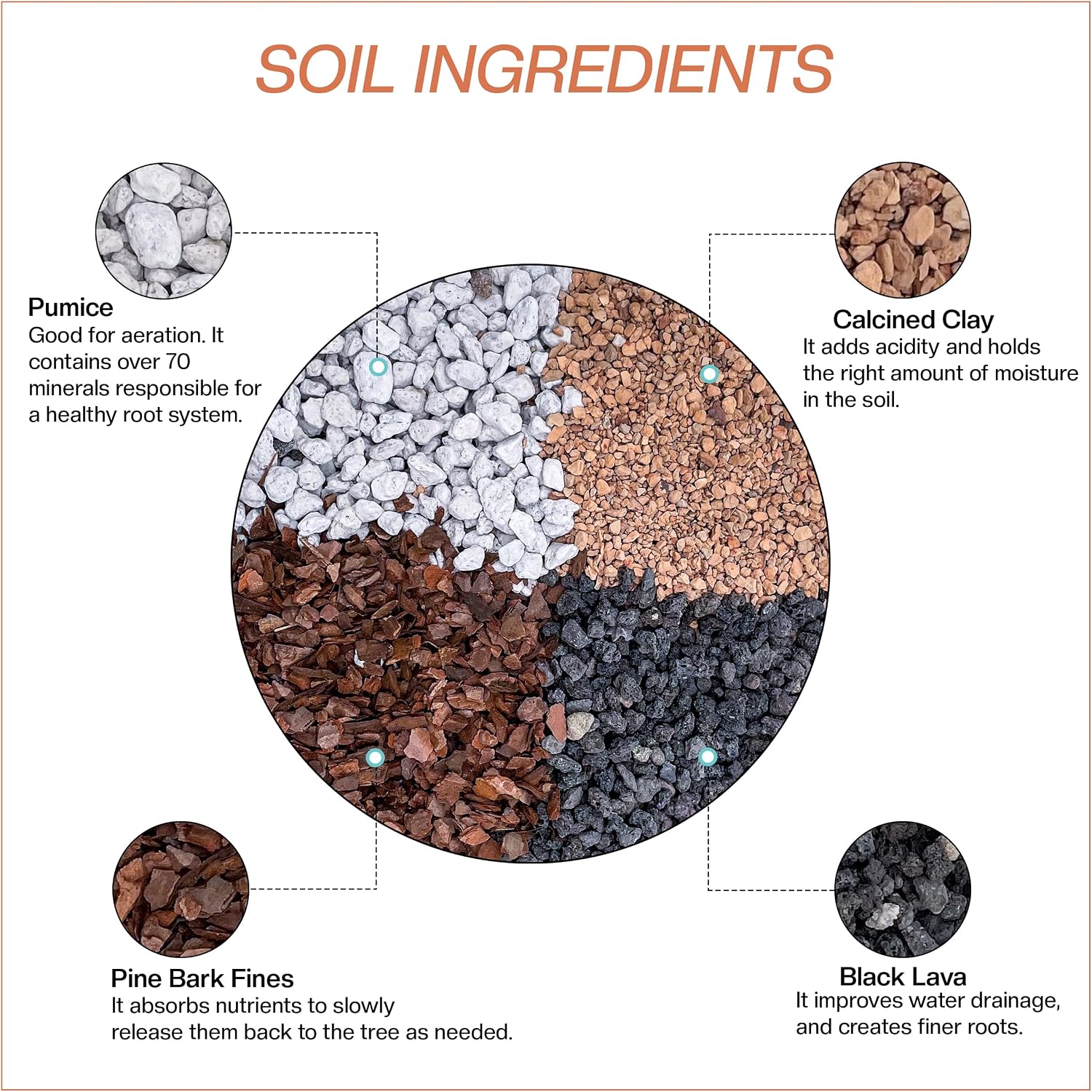 Bonsai Soil All Purpose Mix | Fast Draining Pre Blend (2 Quart Bag) Plant | Pumice, Lava, Calcined Clay and Pine Bark ● Potting Pre Mixed Bonsai Plant Soil Mixture By The Bonsai Supply (Pack of 2)