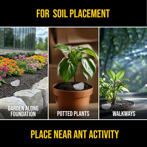Catchmaster DEFIANT Reusable Outdoor Garden Stake Ant Traps (5 Pack), Bait NOT Included – Bait Stations That Hold Liquid Ant Killer - For Garden, Soil & Mulch – Discreet Bait Stations for Pest Control