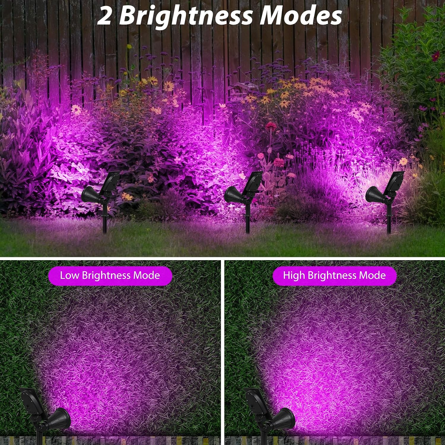 T-SUN Purple Solar Spot Lights Outdoor, Solar Black Lights Outdoor,2 Pack