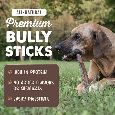 Mighty Paw 12" Bully Sticks for Dogs - Large, Medium and Small Breeds Chew