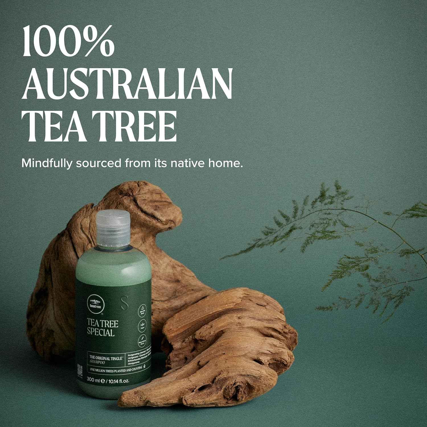 Tea Tree Special Shampoo, Deep Cleans, Refreshes Scalp, For All Hair Types, Especially Oily Hair