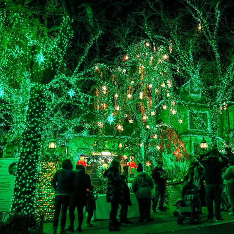 TW SHINE Green Christmas Lights, 200 LED 66FT Outdoor Christmas Lights Plug in with 8 Modes, Waterproof Green Wire St. Patrick's Day Light Outdoor, Indoor Xmas Decorations for Party Yard Room Decor