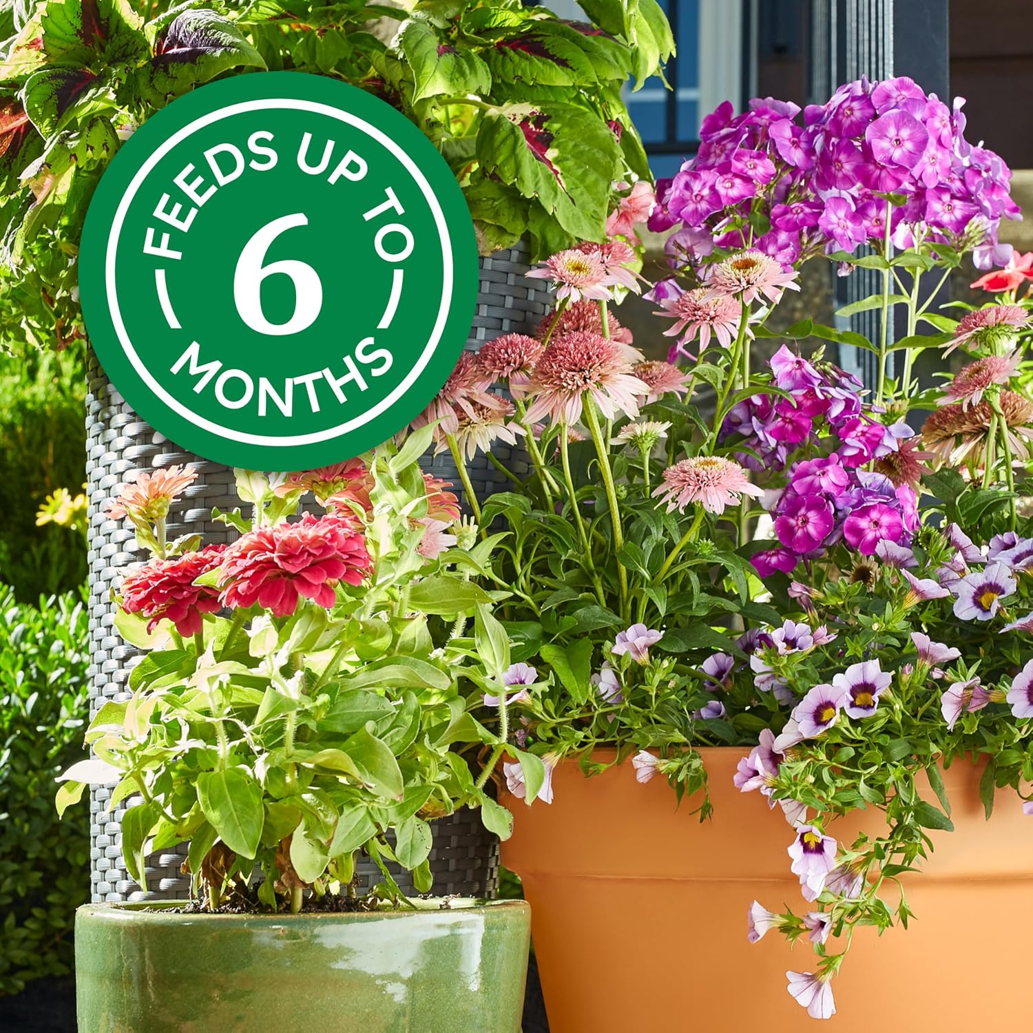 Osmocote Smart-Release Plant Food Plus Outdoor & Indoor1, 2 lb.