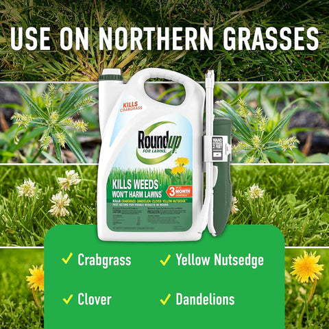 Roundup for Lawns1 with Extend Wand, 1.33 gal.