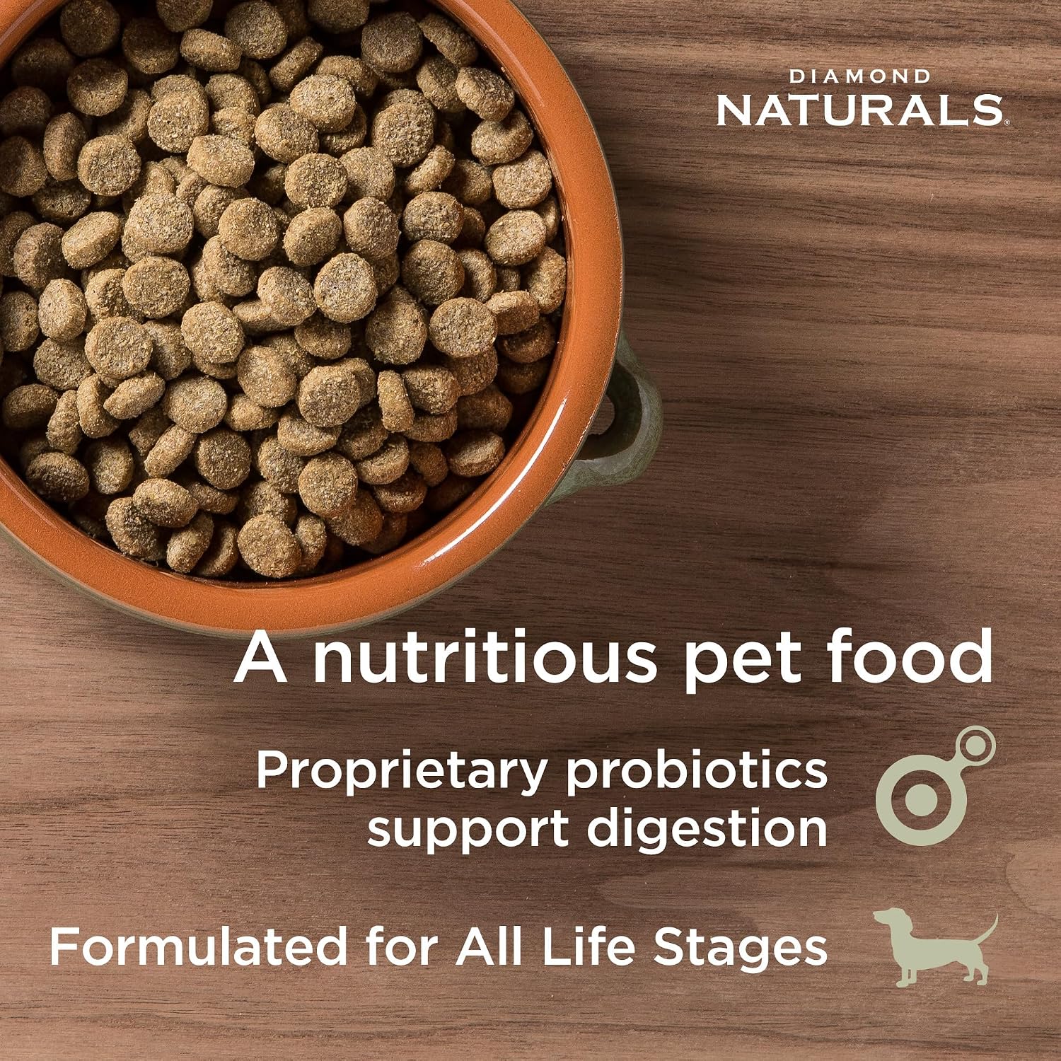 Diamond Naturals Skin & Coat Puppy, Adult & Senior Dry Dog Food Salmon 30lb