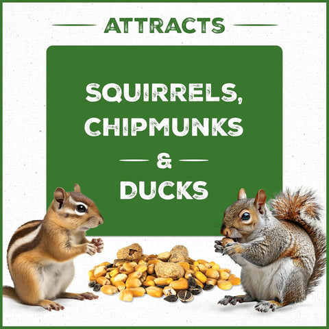 Pennington Squirrel & Critter Blend with Sunflower, Corn & in Shell Peanuts