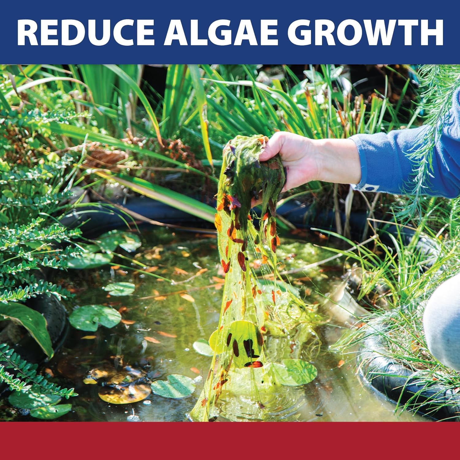 The Pond Guy InstaFix Algae Control Liquid Algaecide, 1 Gallon
