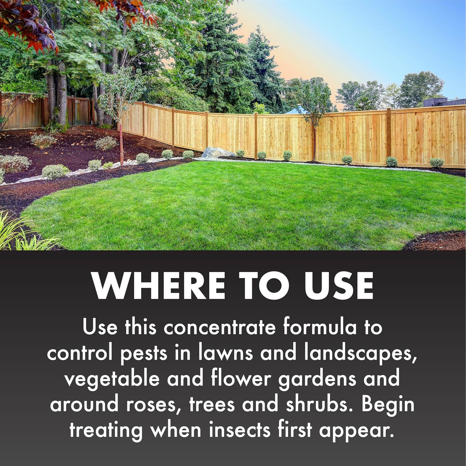 Spectracide Triazicide Insect Killer for Lawns & Landscapes 32 Oz