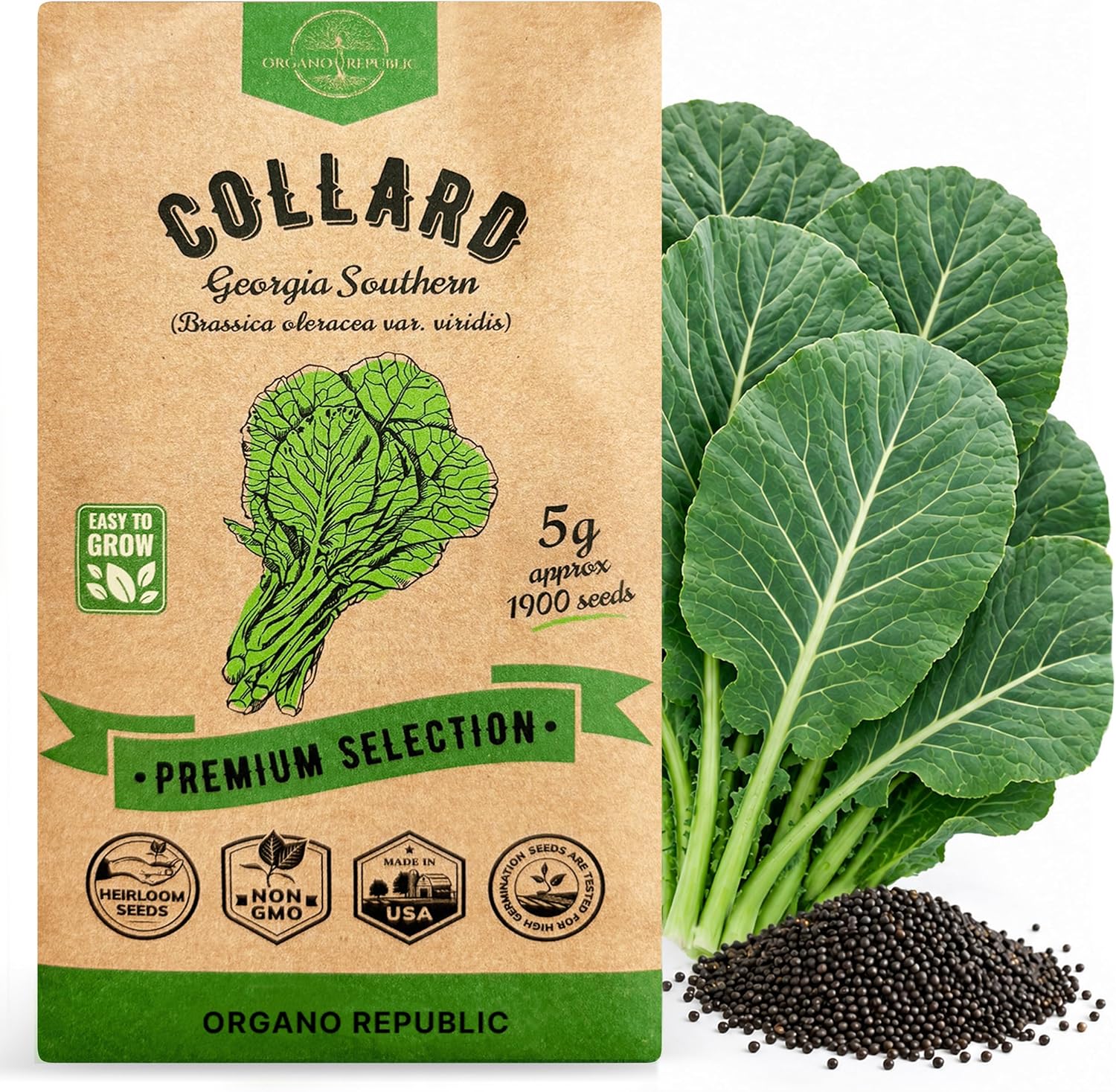 Organo Republic Collard Georgia Southern Seeds Pack 5G - Over 1900 Non-GMO Heirloom Collard Seeds for Planting Vegetable in Individual Seed Packet Vegetables Seeds for Planting Indoor & Outdoor