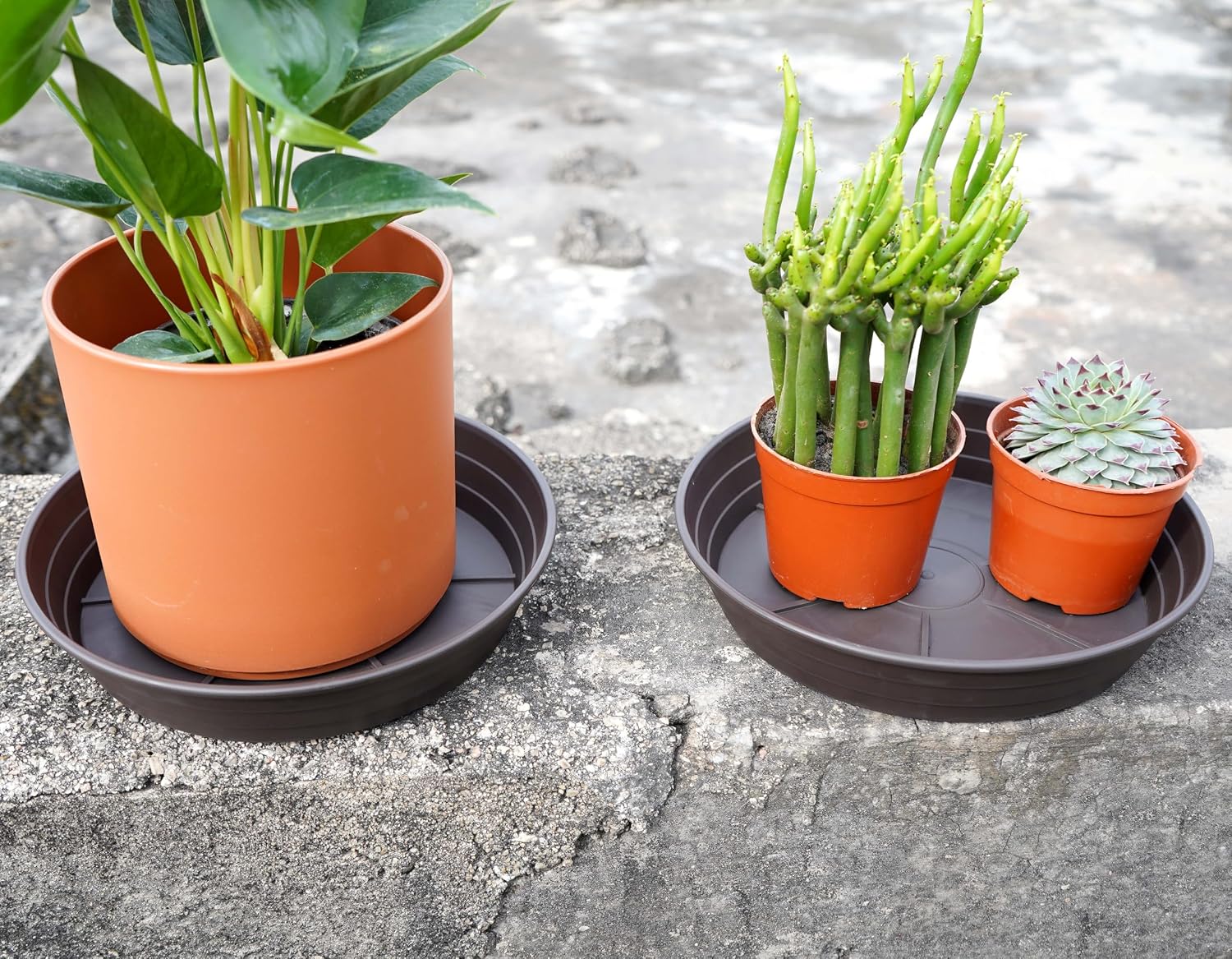Plant Saucer 6 Inch 4 Pack 6 8 10 12 14 16 18 20 25, Plastic Plant Trays for Pots，Extra-Deep Plant Water Dray Tray, Bird Bath Bowl, Heavy Flower Plant saucers Indoors and Outdoor No Holes 6in-4 brown
