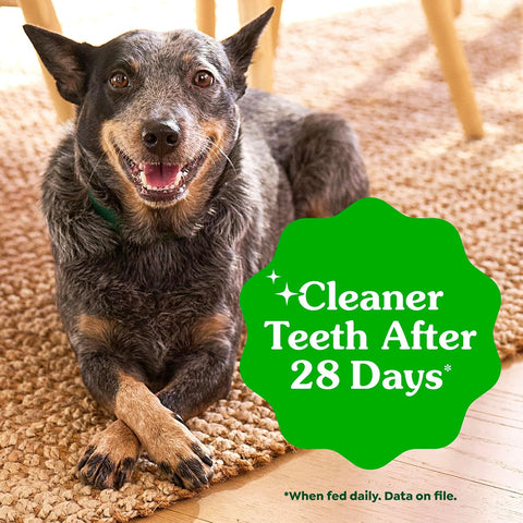 Greenies Regular Dental Dog Treats Flavor, Variety Pack, 36 Count