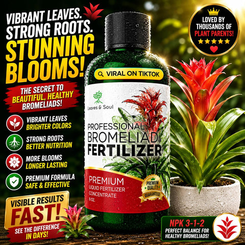 Professional Bromeliad Fertilizer Liquid 3-1-2 Concentrate 8 oz, Premium Bromeliad Plant Food for Indoor and Outdoor Plants, Liquid Bromeliad Plant Fertilizer Made in USA