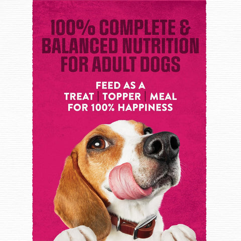 Purina Moist & Meaty Soft Dog Food Pouches, 36 ct