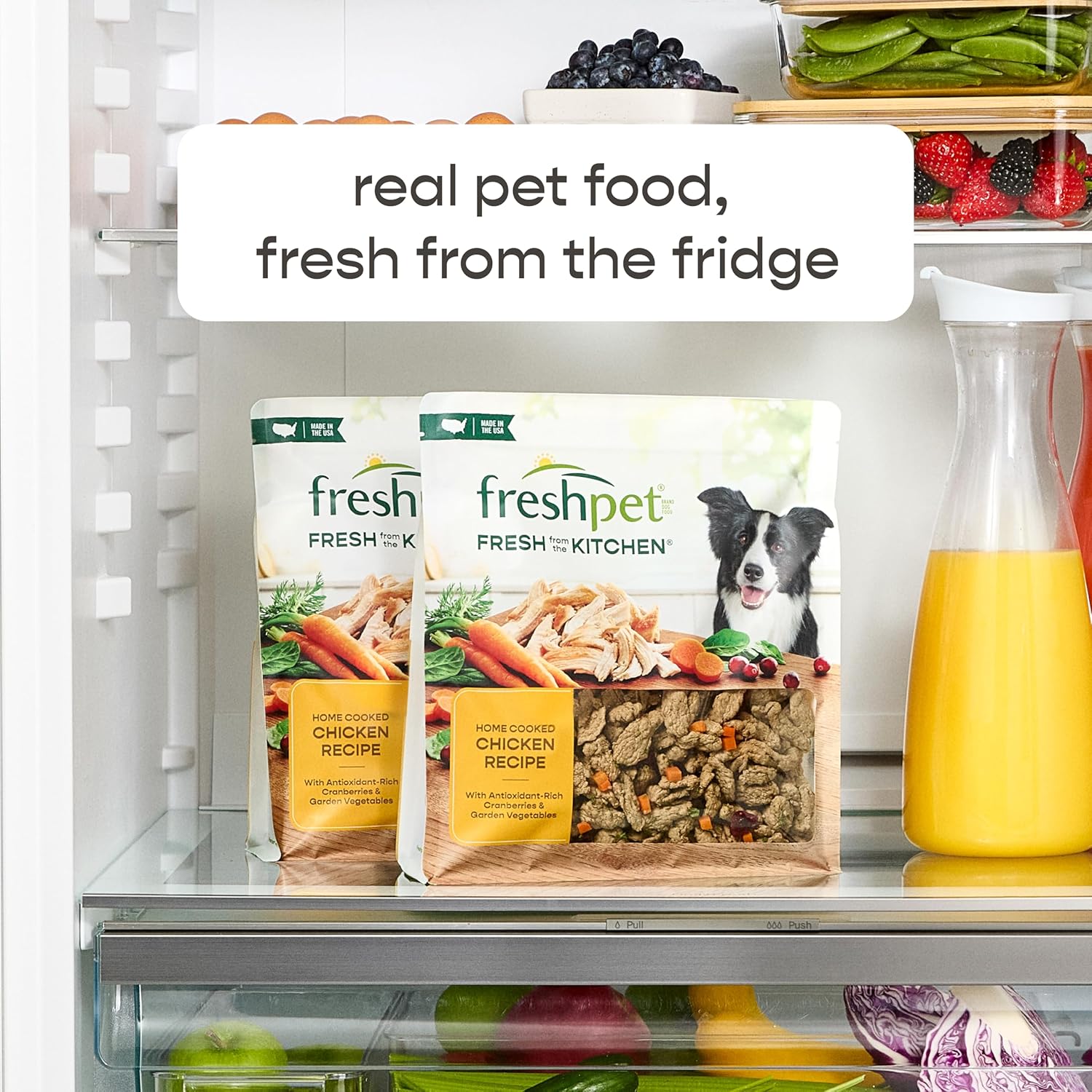 Freshpet Healthy & Natural Dog Food, Fresh Beef Roll, 6lb