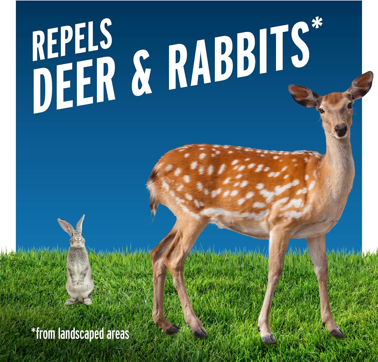 Liquid Fence Deer and Rabbit Repellent Concentrate, 32 Ounces