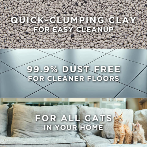 Purina Tidy Cats Free and Clean Unscented Clumping Cat Litter, 16 lb Bag