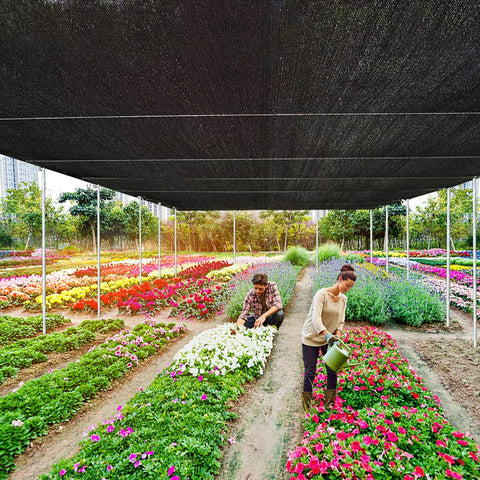 8 x 16 FT Shade Cloth 90% Sunblock Net for Garden Patio Plants Greenhouse Outdoor Pergola Lawn Sun Shade Cloths for Kennel Chicken Coop Easier to Hang Neting Cover