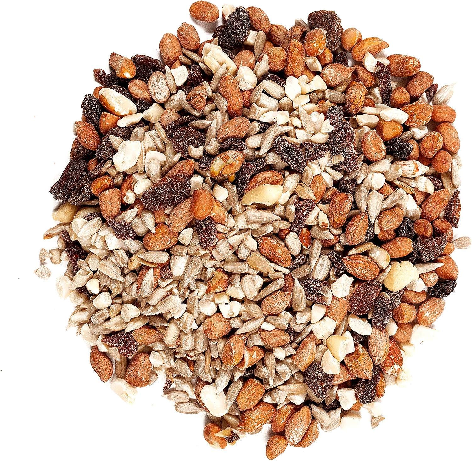 Wagner's 82072 Gourmet Nut & Fruit Wild Bird Food, 5 Pound (Pack of 6)