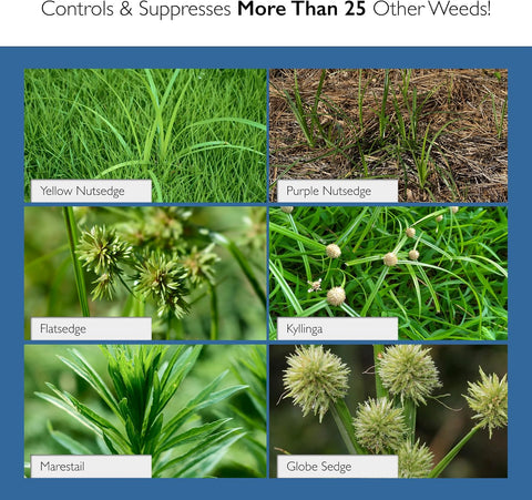 Sedgehammer Plus Turf Solution, 13.5 Grams, Nutsedge Control