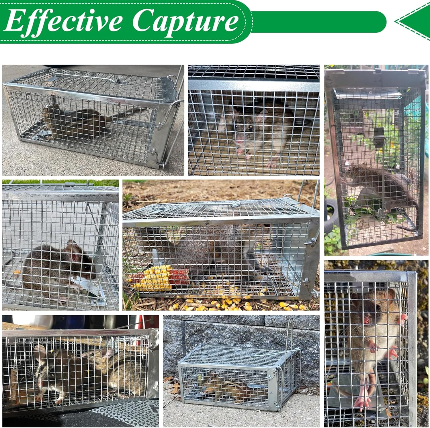 2 Packs Humane Rat Mouse Trap Outdoor Live Animal Cage Indoor & Outdoor