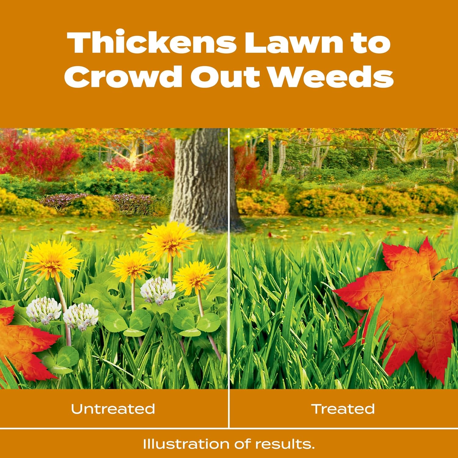 Scotts Turf Builder WinterGuard Fall Weed & Feed₅, 11.28 lbs.