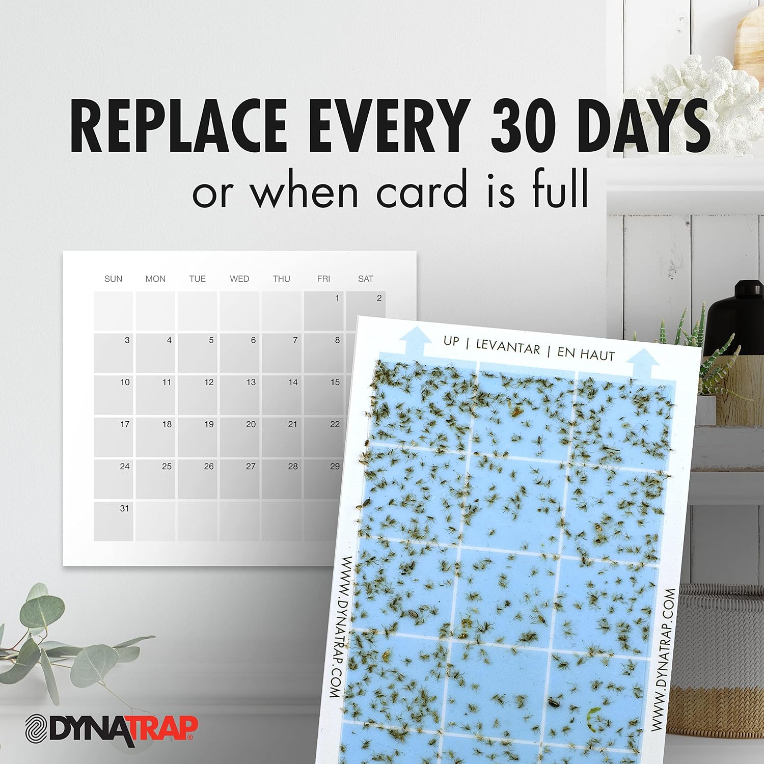 DynaTrap 230093 Replacement StickyTech Glue Cards for Flylight Indoor Plug-In Fly and Flying Insects Trap for Indoor DynaTrap Models DT3009 and DT3019 - 6 Pack