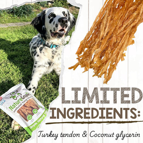 Nature Gnaws USA Turkey Tendons Dog Treats, 4 oz