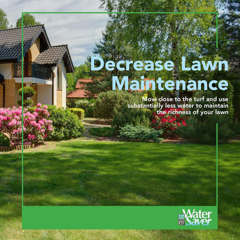 WATER SAVER LWN SEED 25#