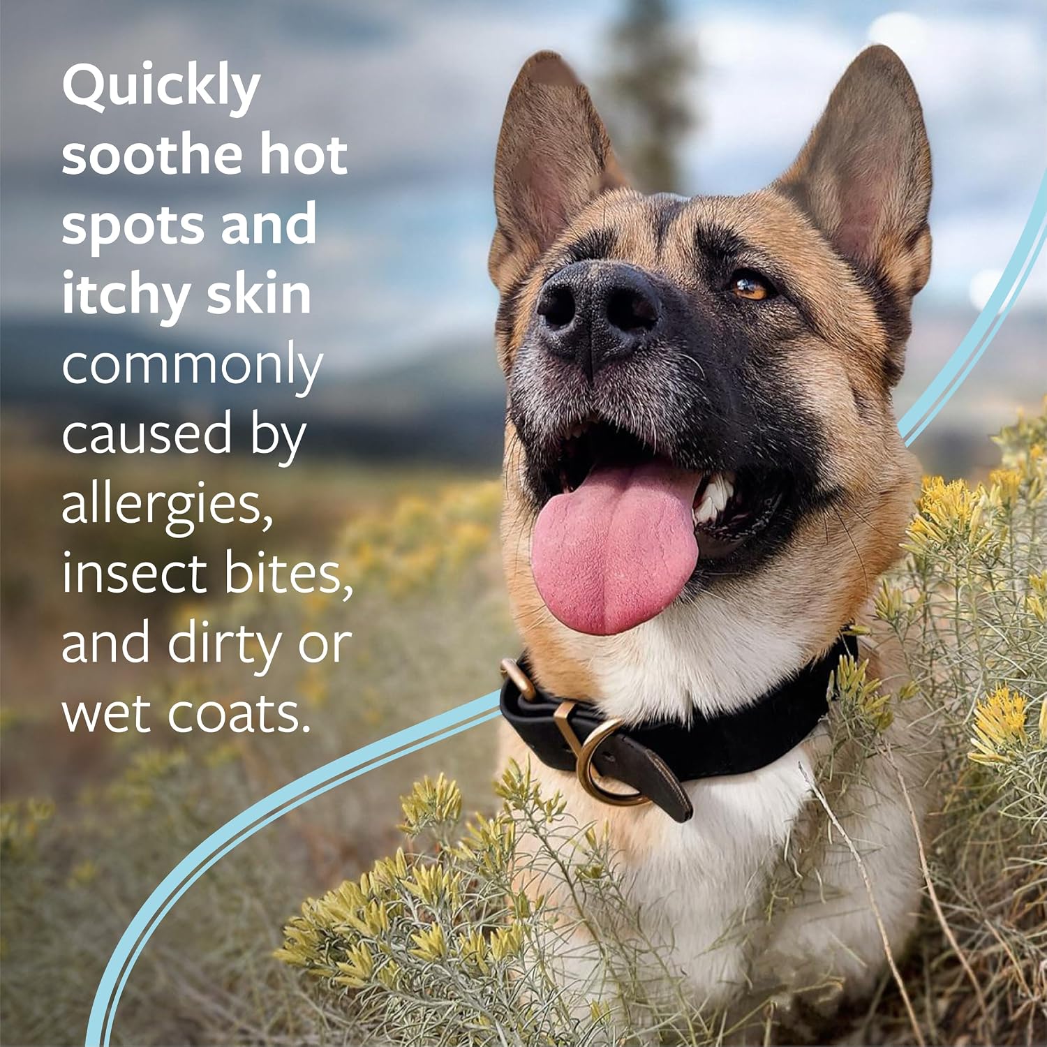 Veterinary Formula Clinical Care Hot Spot & Itch Relief Spray, Dogs & Cats