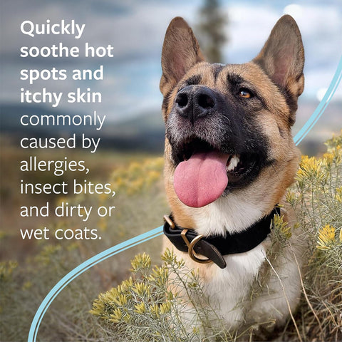 Veterinary Formula Clinical Care Hot Spot & Itch Relief Spray, Dogs & Cats