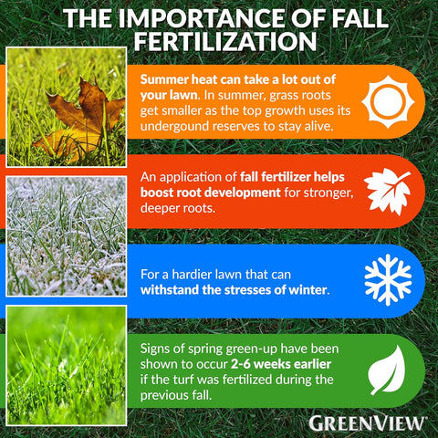 GreenView Fall Lawn Food, Lawn Fertilizer, 48 lb Bag - Covers 15000 Sq. Ft.